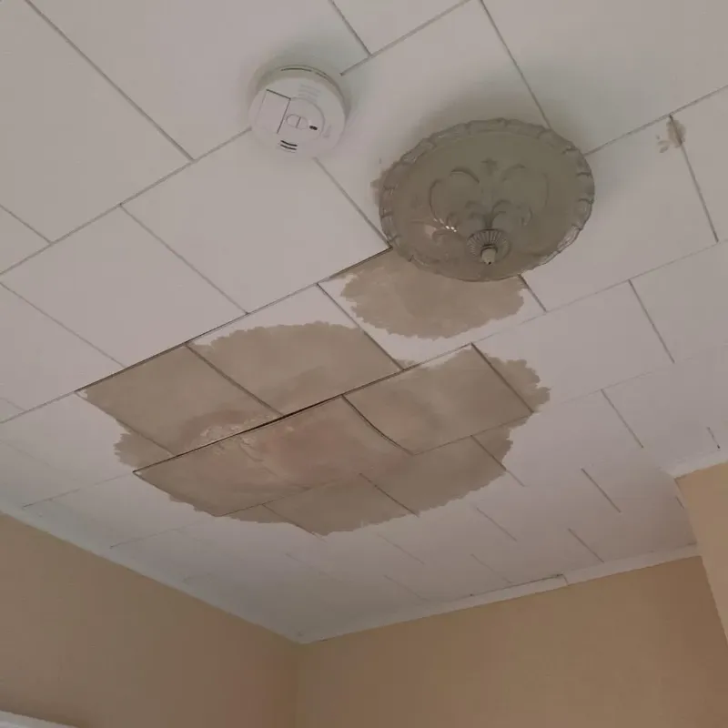 Ceiling Water Damage Repair in Ridgefield, CT