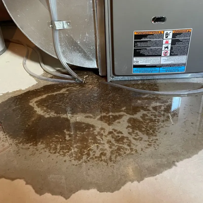 Pipe Burst and Leak Restoration in Ridgefield, CT