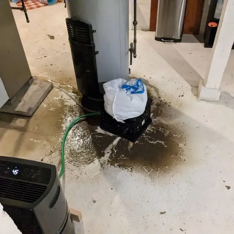 Sewage Backup Cleanup Service in Ridgefield, CT